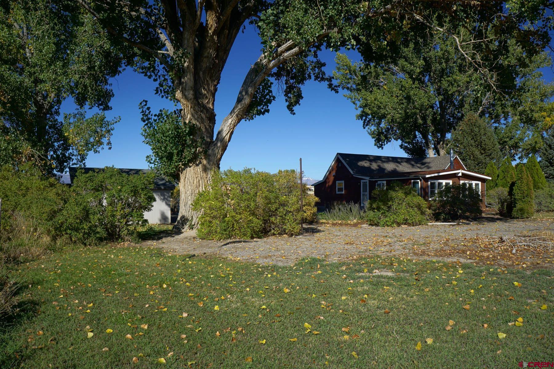 6733 2050th Road Delta, CO 81416 - Photo 21 of 32 a view of a house with a tree in the yard