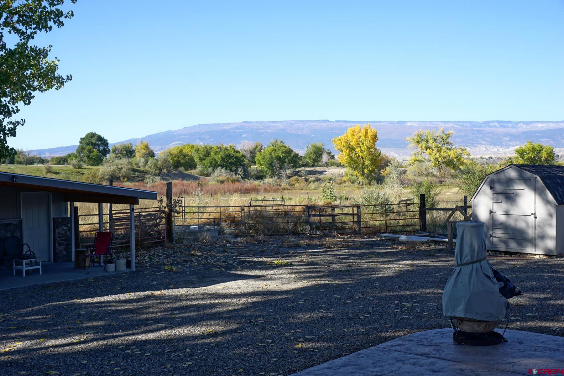 6733 2050th Road Delta, CO 81416 - Photo 26 of 32 a view of a yard