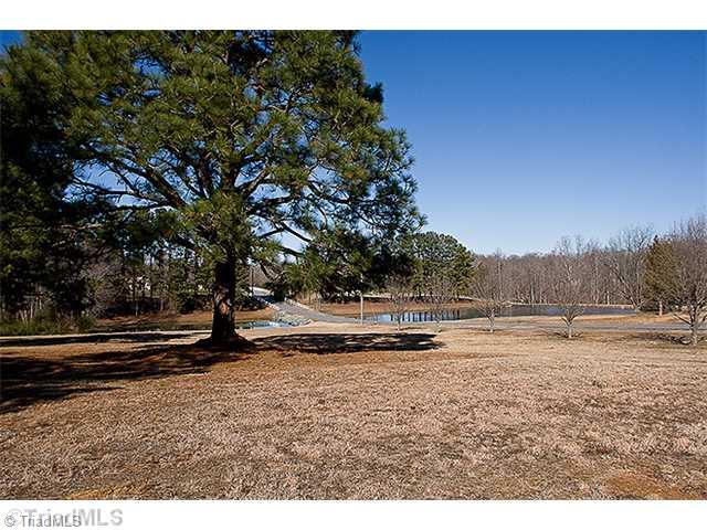 1031 Sutton Road Greensboro, NC 27406 - Photo 15 of 16 Other. What a view!