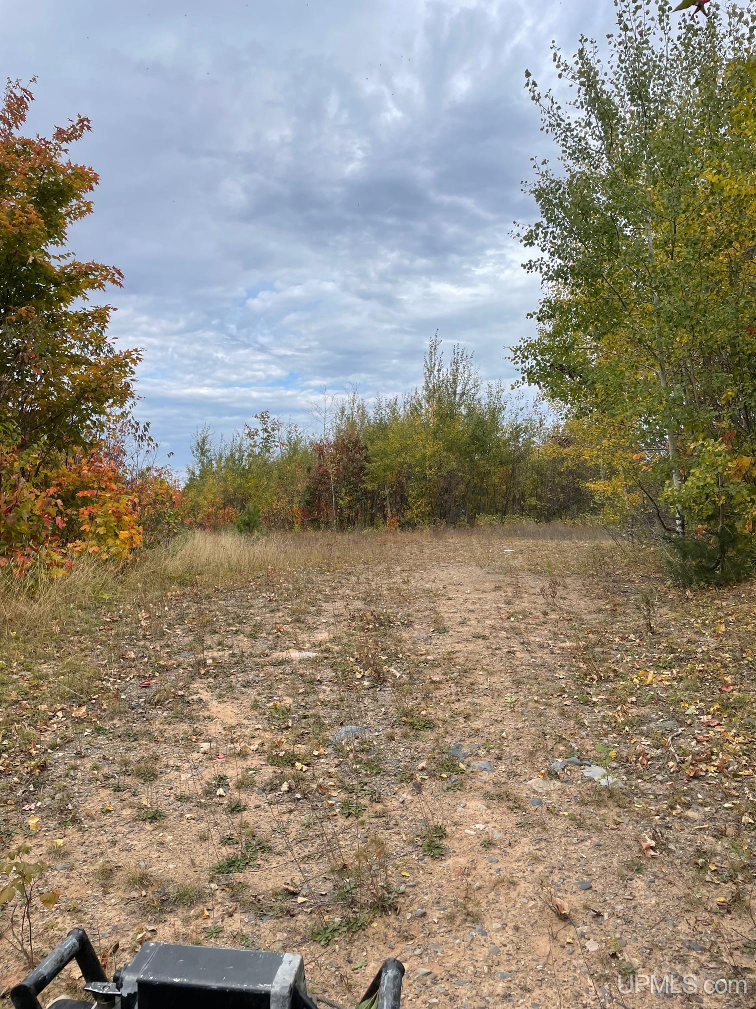 Tbd Gold Mine Lake Road Ishpeming, MI 49849 - Photo 5 of 10