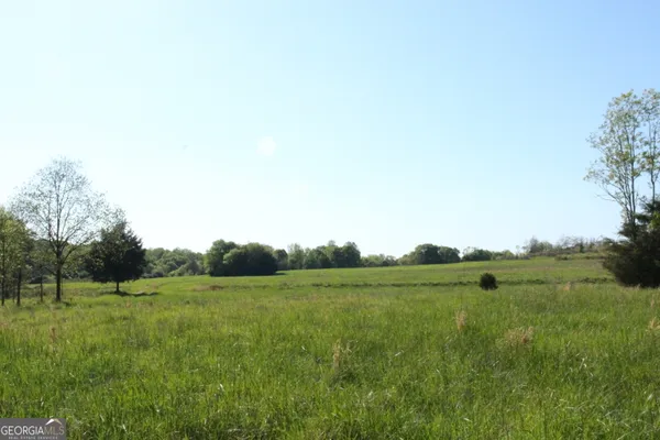 a view of a grassy field with trees