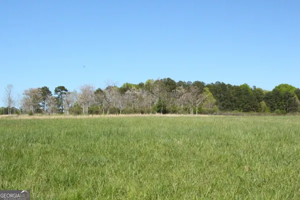 a view of a field of grass and trees