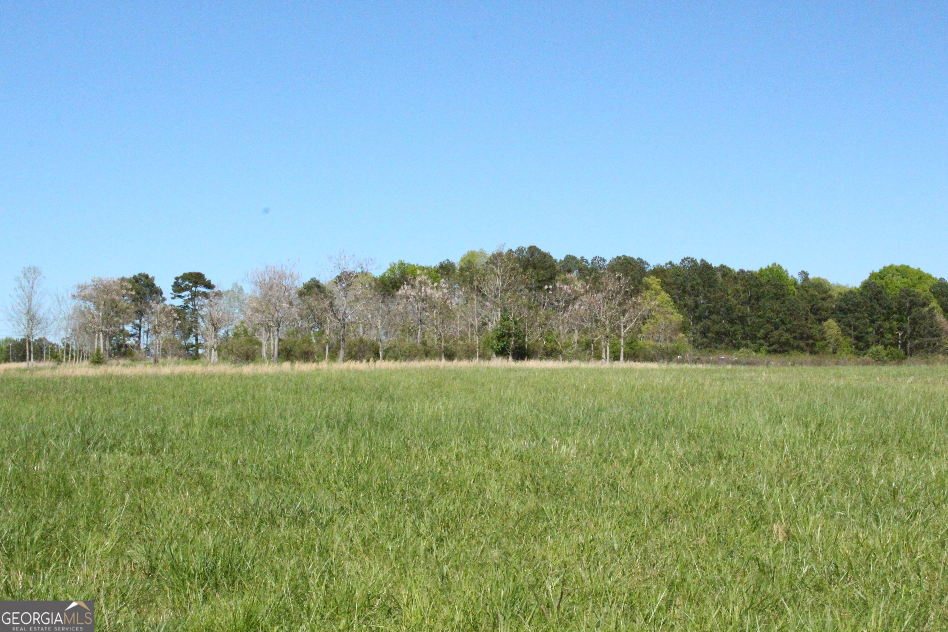 1695 Spring Valley Road Athens, GA 30605 - Photo 3 of 5 a view of a field of grass and trees