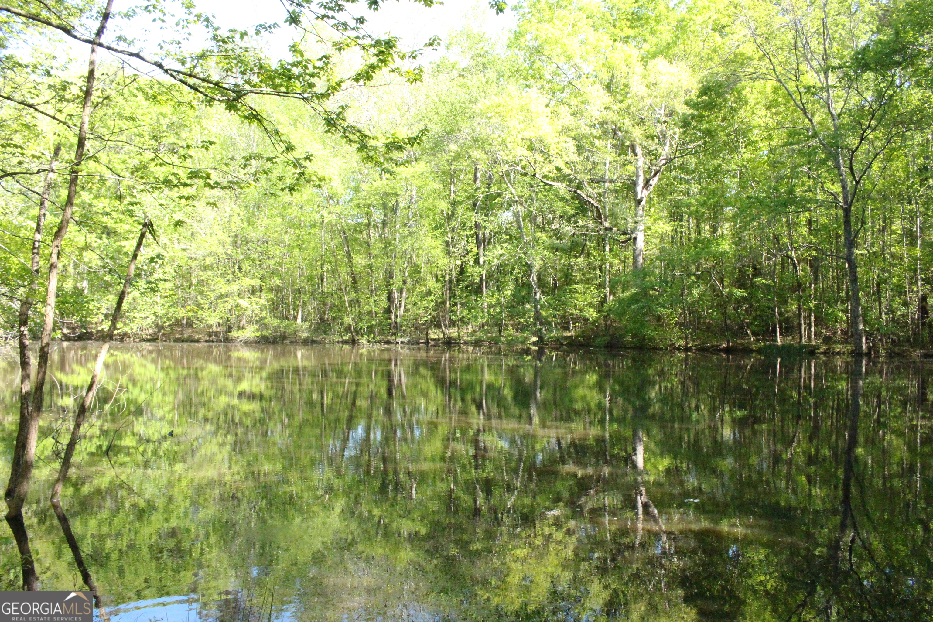 1695 Spring Valley Road Athens, GA 30605 - Photo 4 of 5 a view of lake with green space
