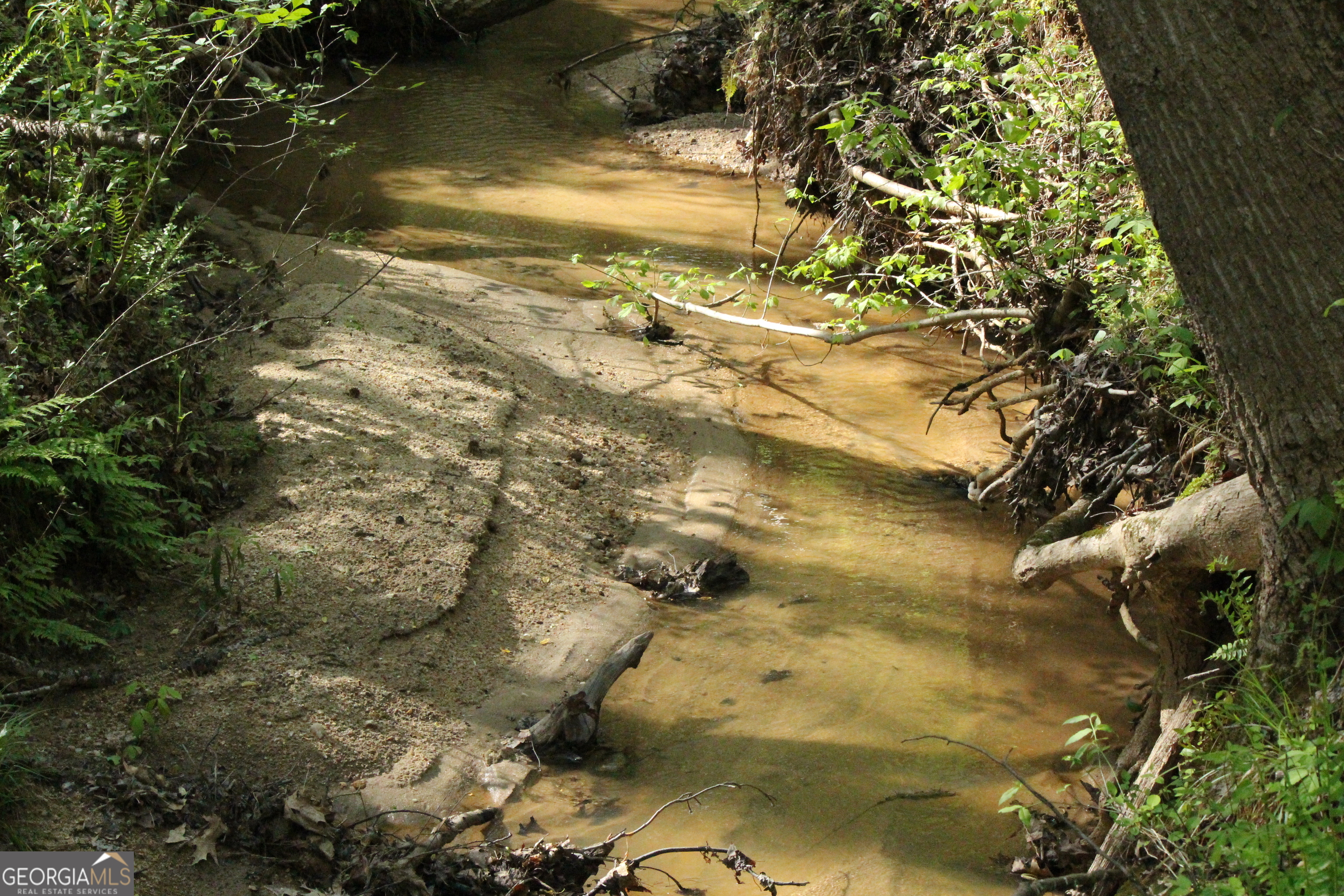 1695 Spring Valley Road Athens, GA 30605 - Photo 5 of 5