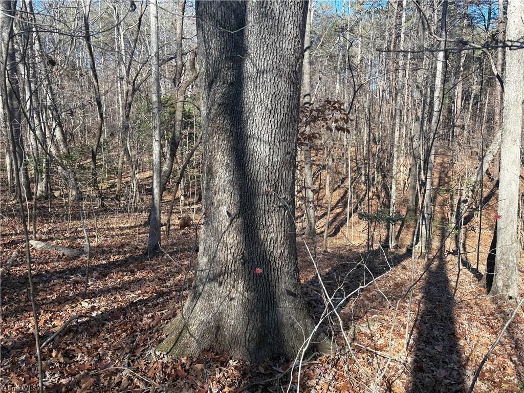 3131-zz Huffine Mill Road Gibsonville, NC 27249 - Photo 11 of 25