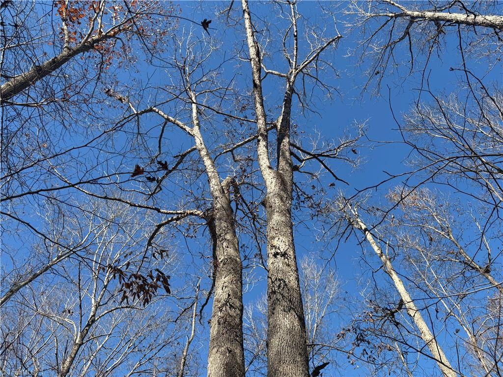 3131-zz Huffine Mill Road Gibsonville, NC 27249 - Photo 12 of 25