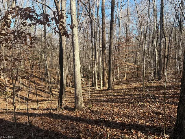 $275,000 | 3131-zz Huffine Mill Road, Gibsonville, NC 27249