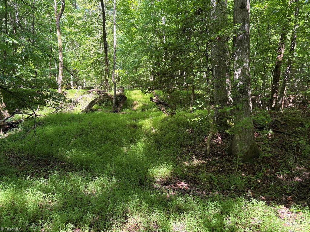 3131-zz Huffine Mill Road Gibsonville, NC 27249 - Photo 13 of 25