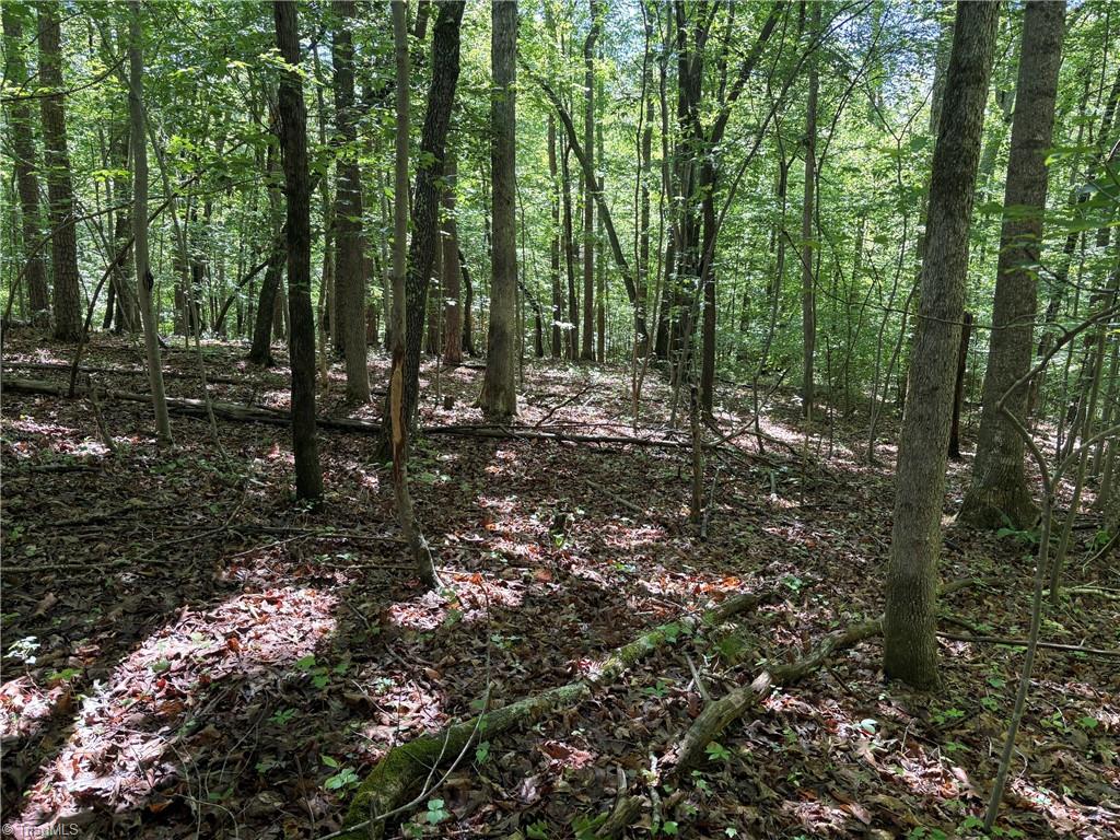 3131-zz Huffine Mill Road Gibsonville, NC 27249 - Photo 14 of 25