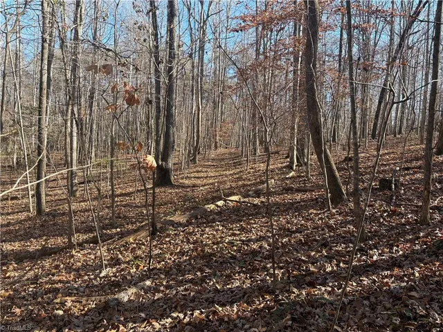 $275,000 | 3131-zz Huffine Mill Road, Gibsonville, NC 27249