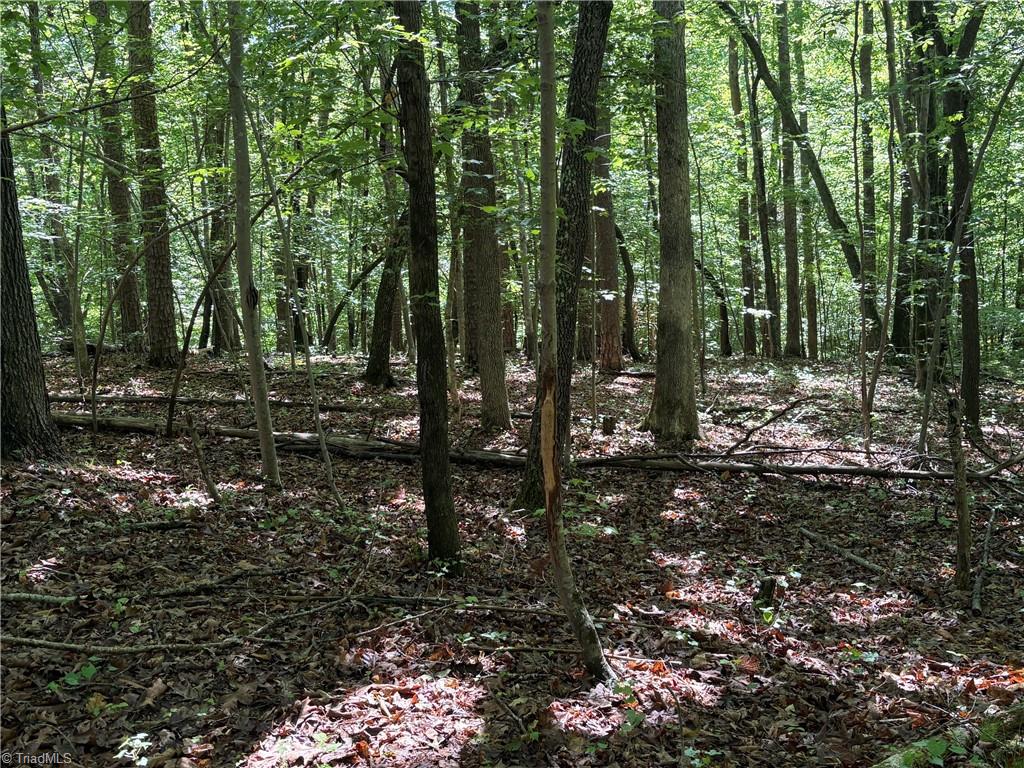 3131-zz Huffine Mill Road Gibsonville, NC 27249 - Photo 15 of 25