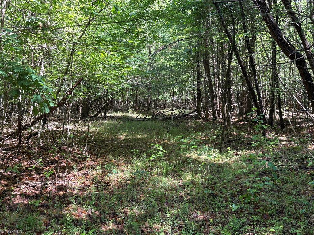 3131-zz Huffine Mill Road Gibsonville, NC 27249 - Photo 16 of 25