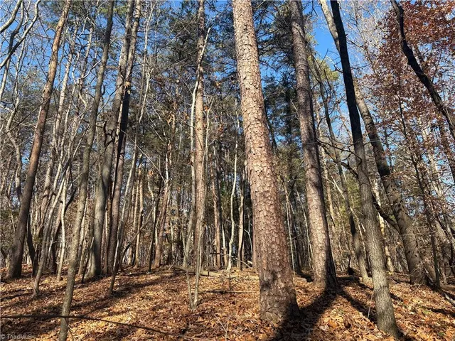 $275,000 | 3131-zz Huffine Mill Road, Gibsonville, NC 27249