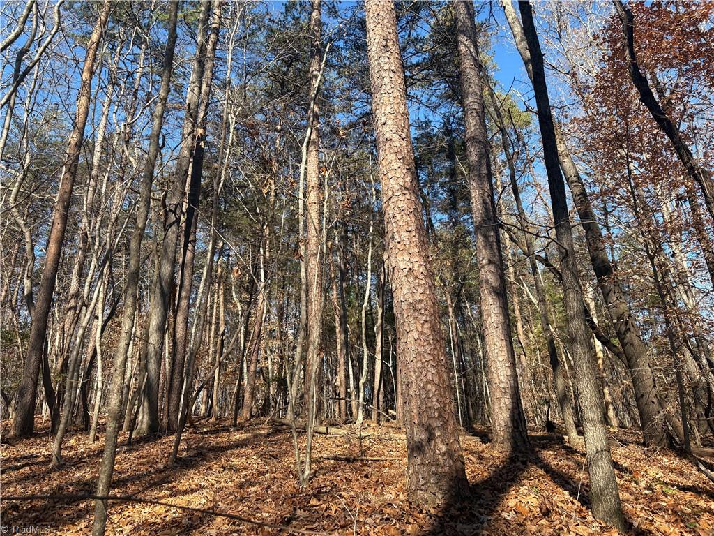 3131-zz Huffine Mill Road Gibsonville, NC 27249 - Photo 16 of 25