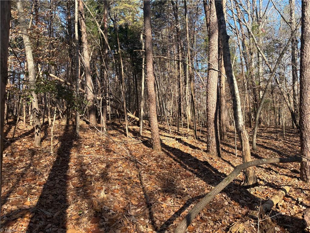 3131-zz Huffine Mill Road Gibsonville, NC 27249 - Photo 17 of 25