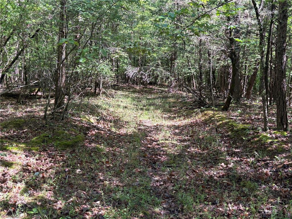 3131-zz Huffine Mill Road Gibsonville, NC 27249 - Photo 17 of 25