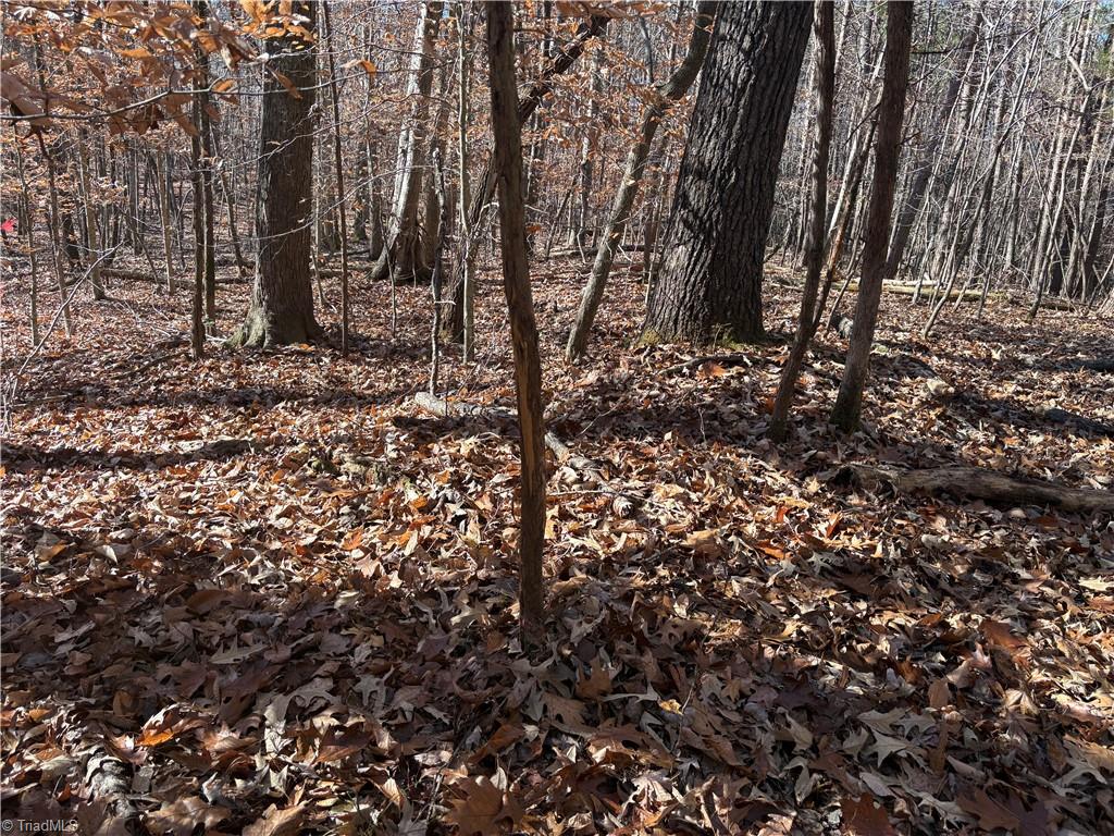 3131-zz Huffine Mill Road Gibsonville, NC 27249 - Photo 18 of 25