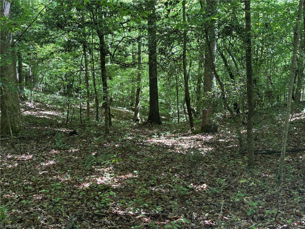 3131-zz Huffine Mill Road Gibsonville, NC 27249 - Photo 18 of 25