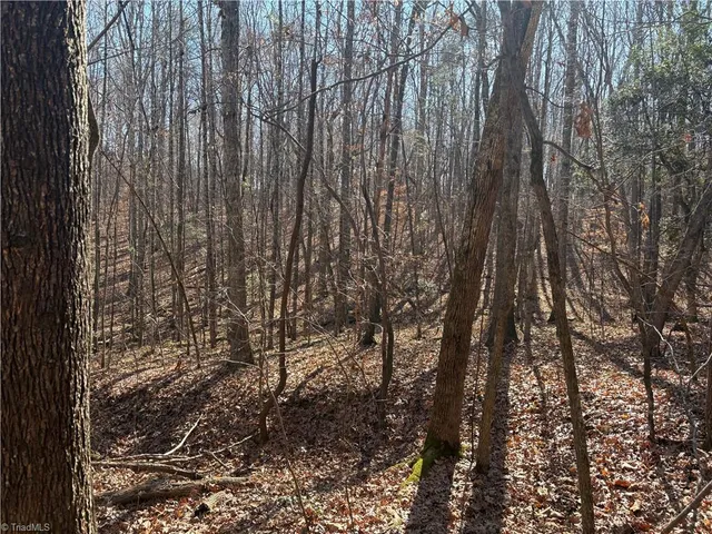 $275,000 | 3131-zz Huffine Mill Road, Gibsonville, NC 27249