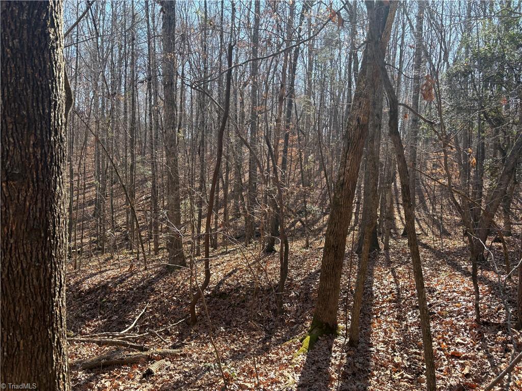 3131-zz Huffine Mill Road Gibsonville, NC 27249 - Photo 19 of 25