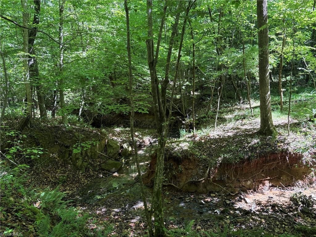 3131-zz Huffine Mill Road Gibsonville, NC 27249 - Photo 19 of 25