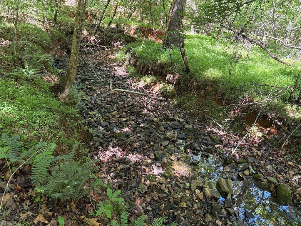 3131-zz Huffine Mill Road Gibsonville, NC 27249 - Photo 20 of 25