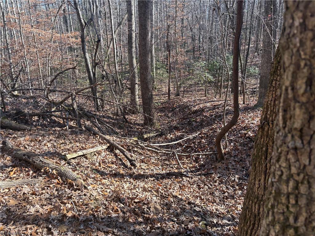 3131-zz Huffine Mill Road Gibsonville, NC 27249 - Photo 21 of 25