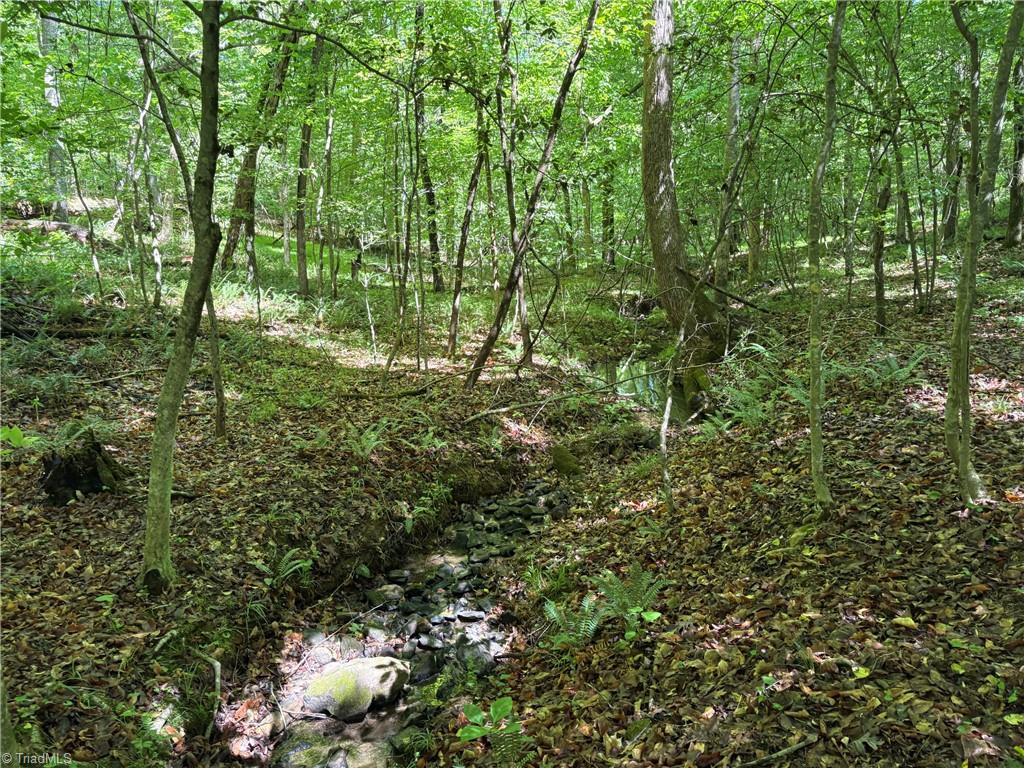 3131-zz Huffine Mill Road Gibsonville, NC 27249 - Photo 21 of 25
