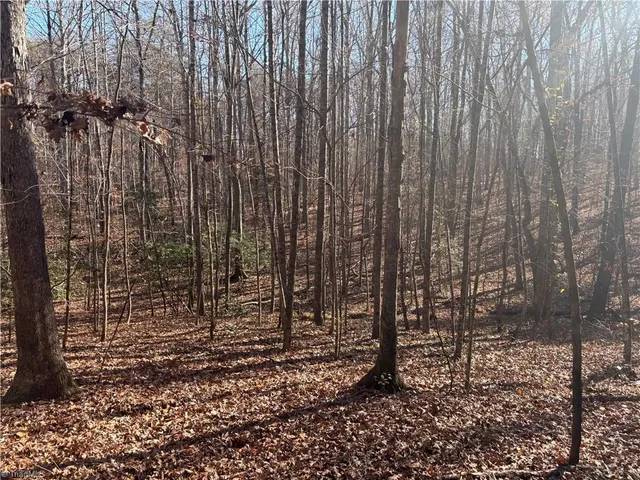 $275,000 | 3131-zz Huffine Mill Road, Gibsonville, NC 27249