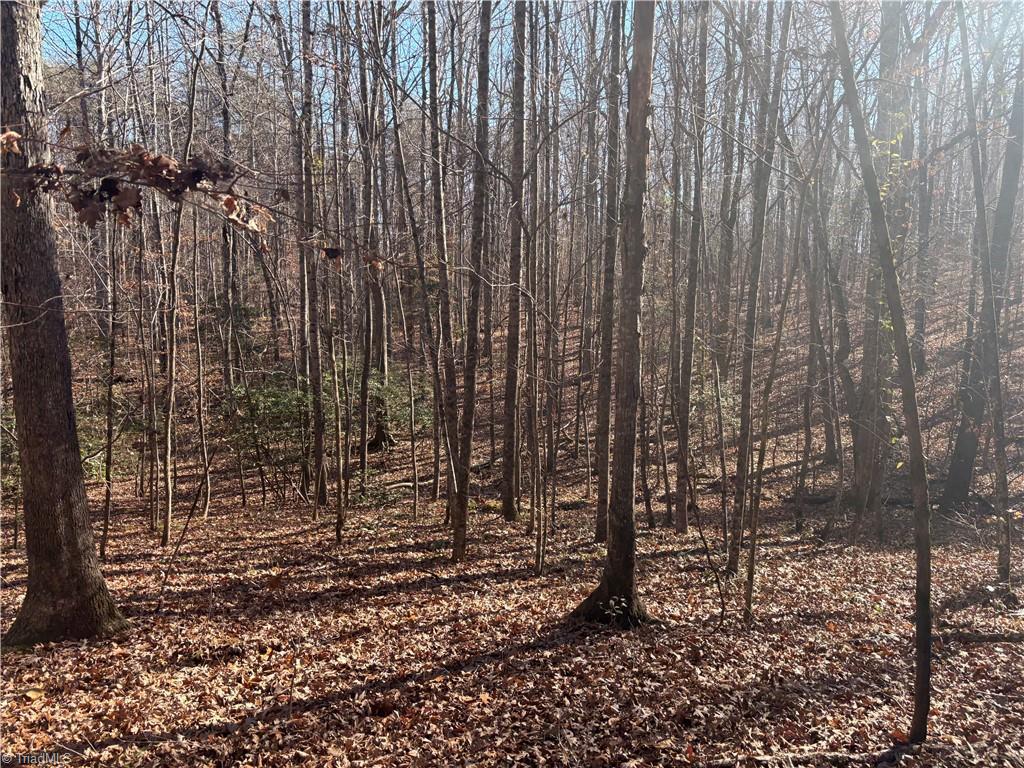 3131-zz Huffine Mill Road Gibsonville, NC 27249 - Photo 22 of 25