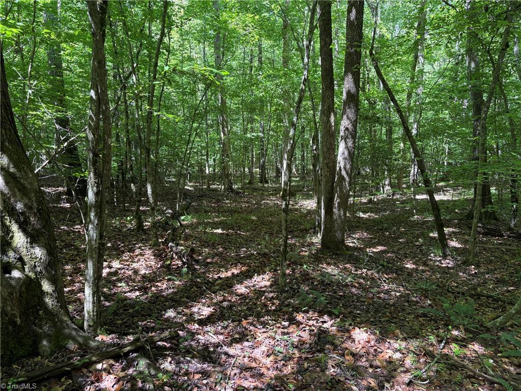 3131-zz Huffine Mill Road Gibsonville, NC 27249 - Photo 22 of 25