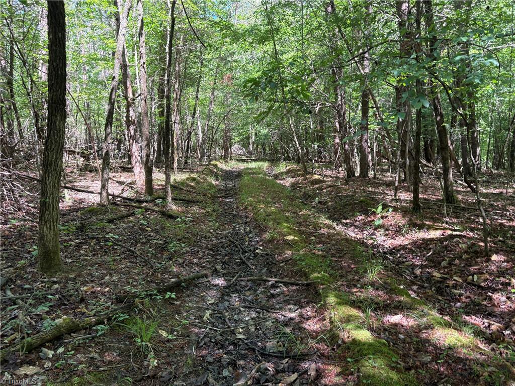 3131-zz Huffine Mill Road Gibsonville, NC 27249 - Photo 23 of 25