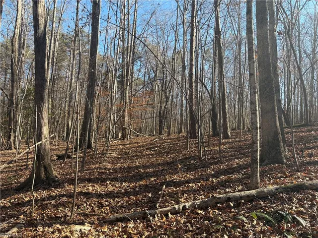 $275,000 | 3131-zz Huffine Mill Road, Gibsonville, NC 27249