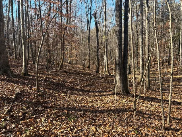 $275,000 | 3131-zz Huffine Mill Road, Gibsonville, NC 27249