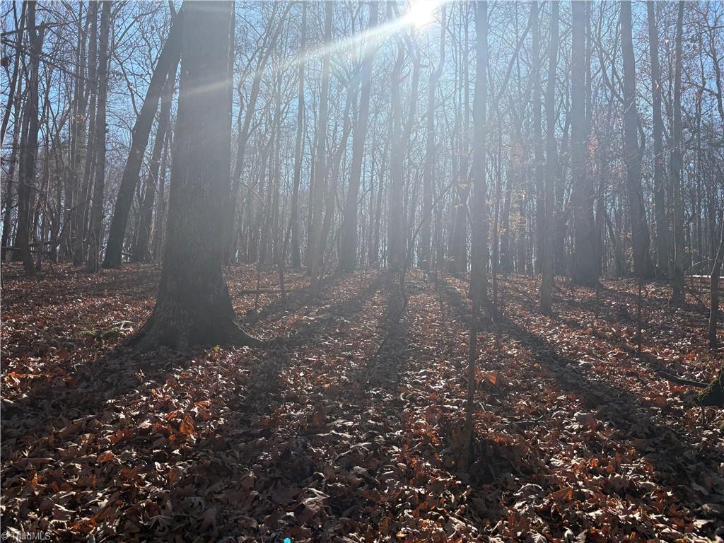 3131-zz Huffine Mill Road Gibsonville, NC 27249 - Photo 25 of 25