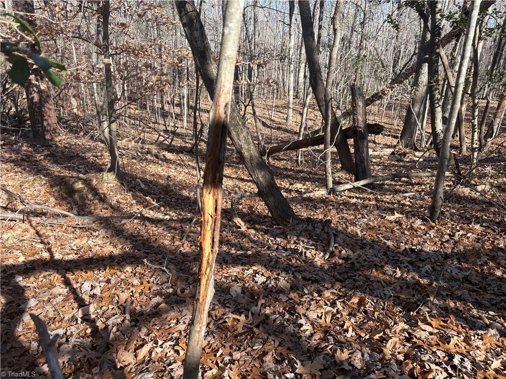 3131-zz Huffine Mill Road Gibsonville, NC 27249 - Photo 8 of 25