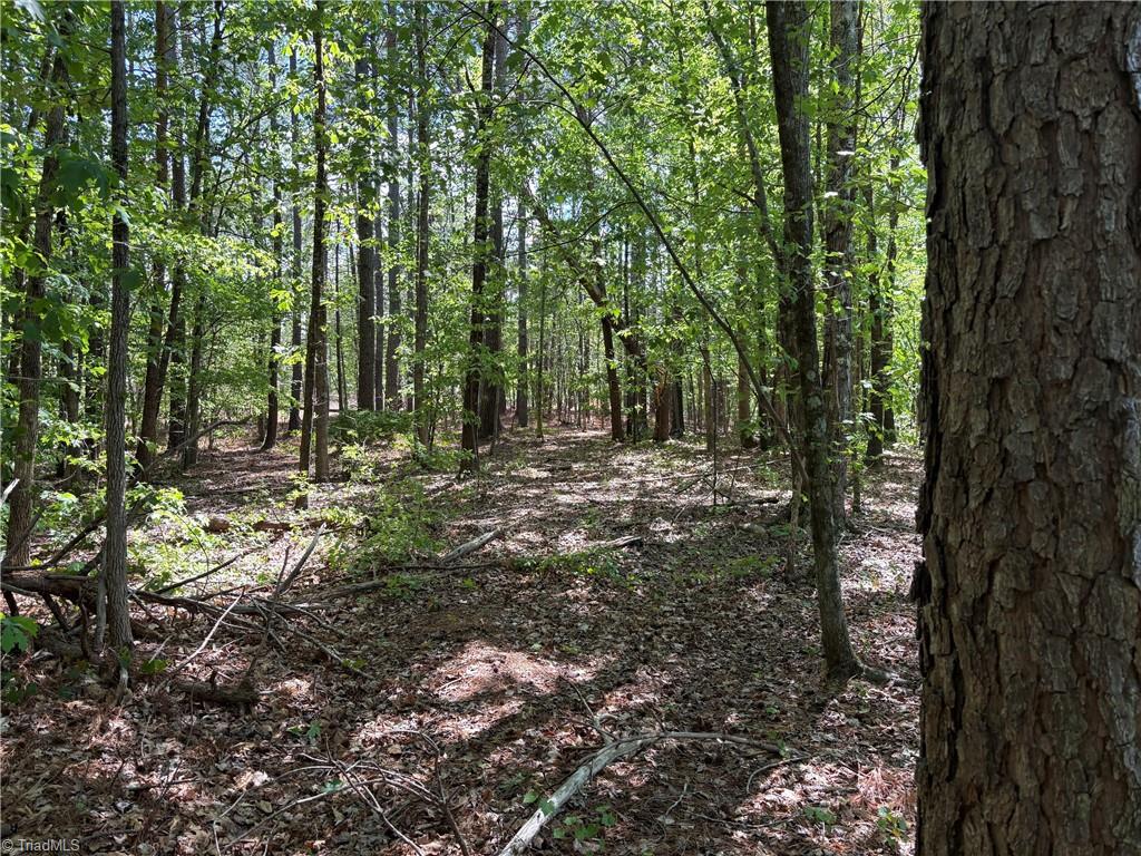 3131-zz Huffine Mill Road Gibsonville, NC 27249 - Photo 8 of 25
