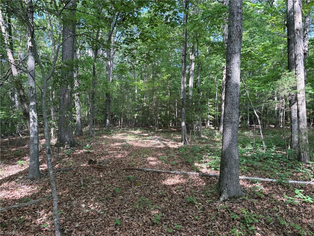 3131-zz Huffine Mill Road Gibsonville, NC 27249 - Photo 9 of 25