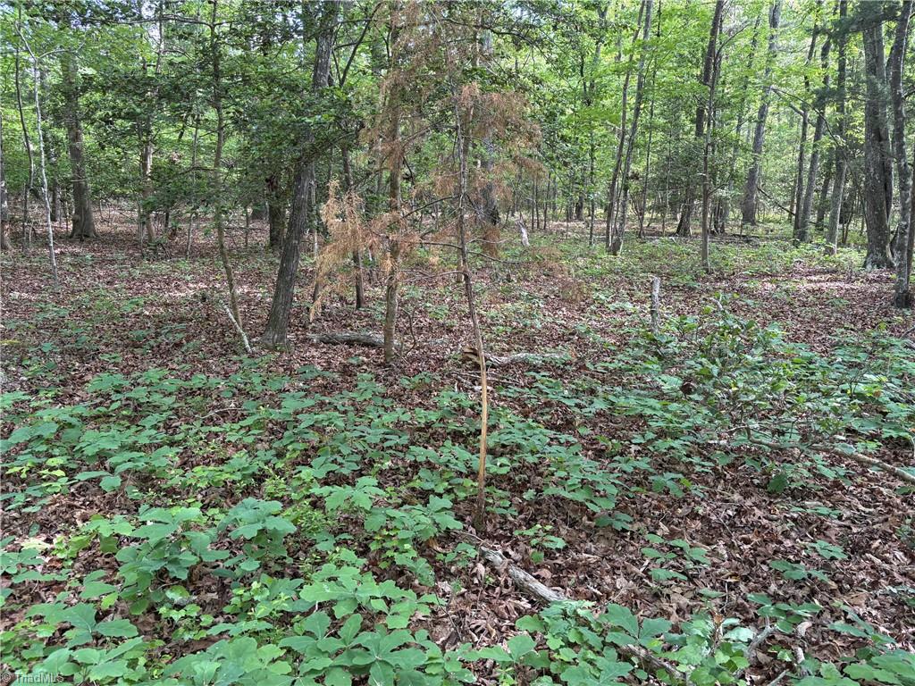 3131-zz Huffine Mill Road Gibsonville, NC 27249 - Photo 10 of 25