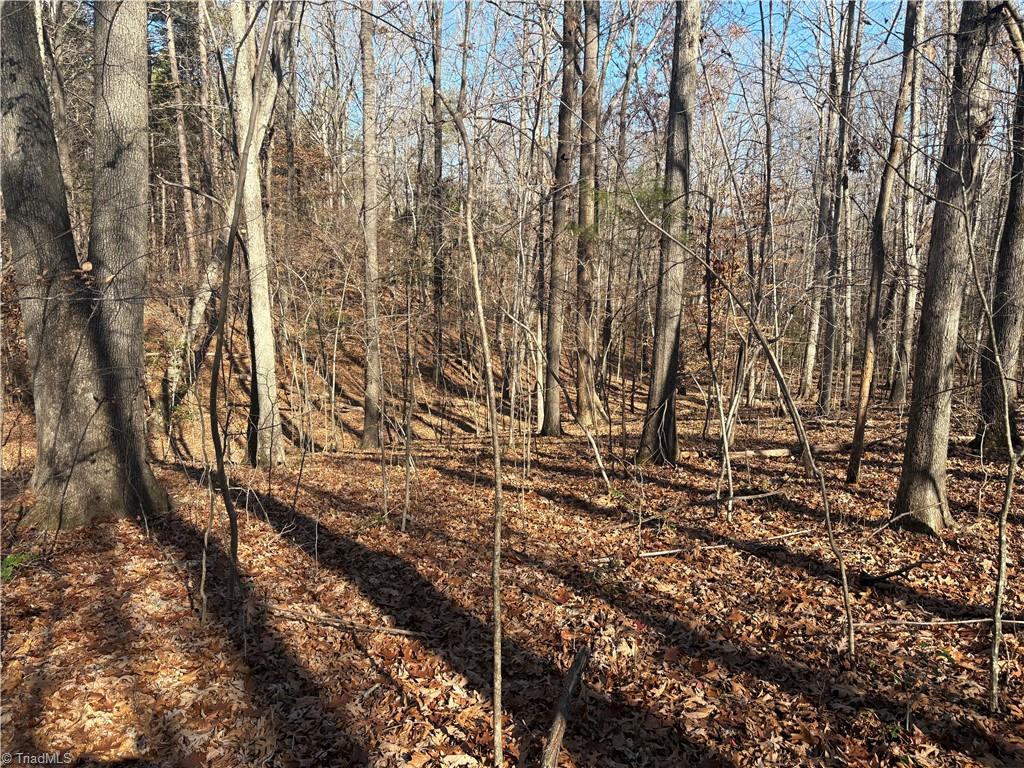 3131-zz Huffine Mill Road Gibsonville, NC 27249 - Photo 10 of 25