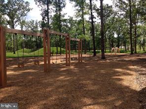 44782 Tiverton Square Ashburn, VA 20147 - Photo 24 of 26 a view of park with trees