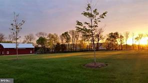 44782 Tiverton Square Ashburn, VA 20147 - Photo 25 of 26 a garden with trees in front of it