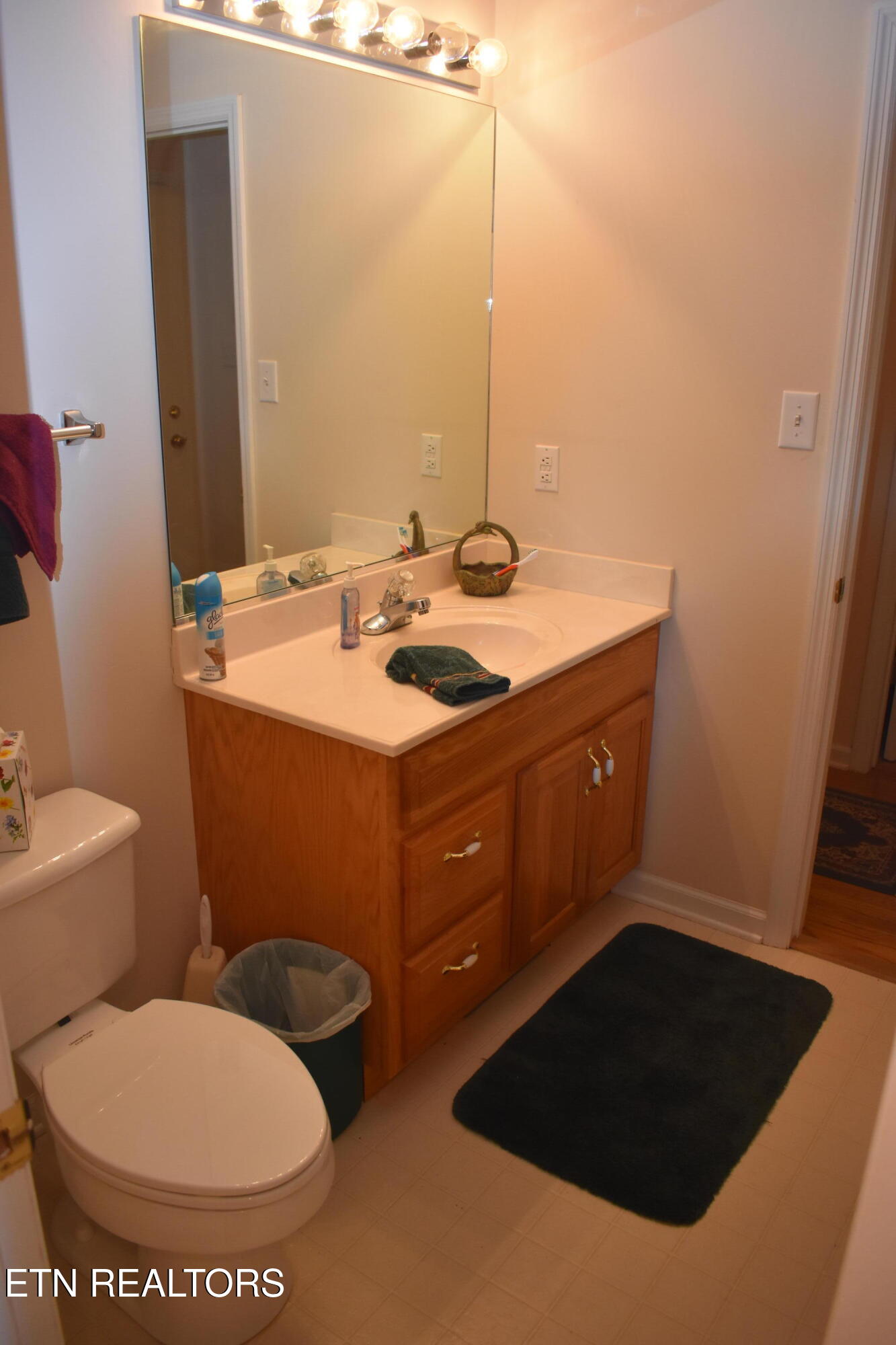 521 Jefferson Road Gatlinburg, TN 37738 - Photo 15 of 48 DSC_0018