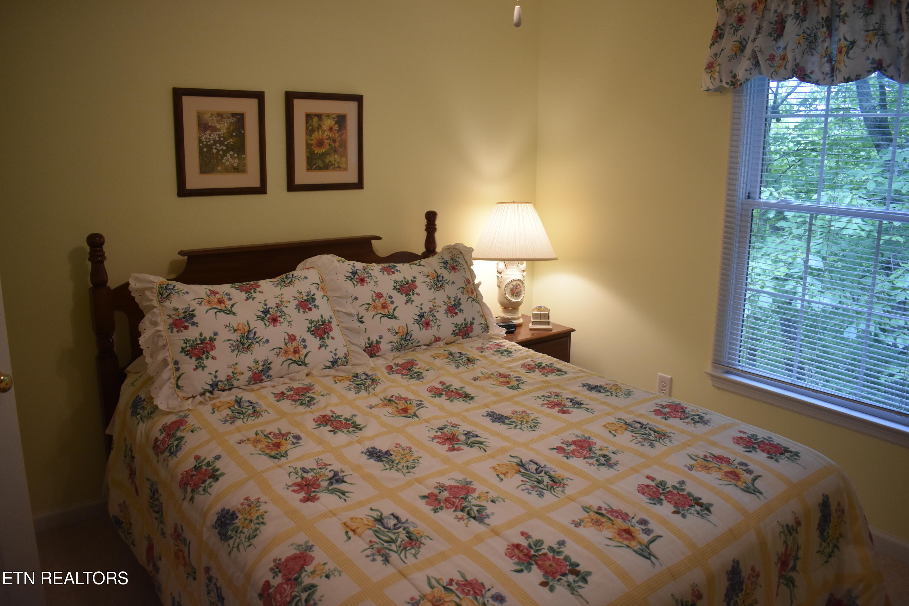 521 Jefferson Road Gatlinburg, TN 37738 - Photo 37 of 48 DSC_0102