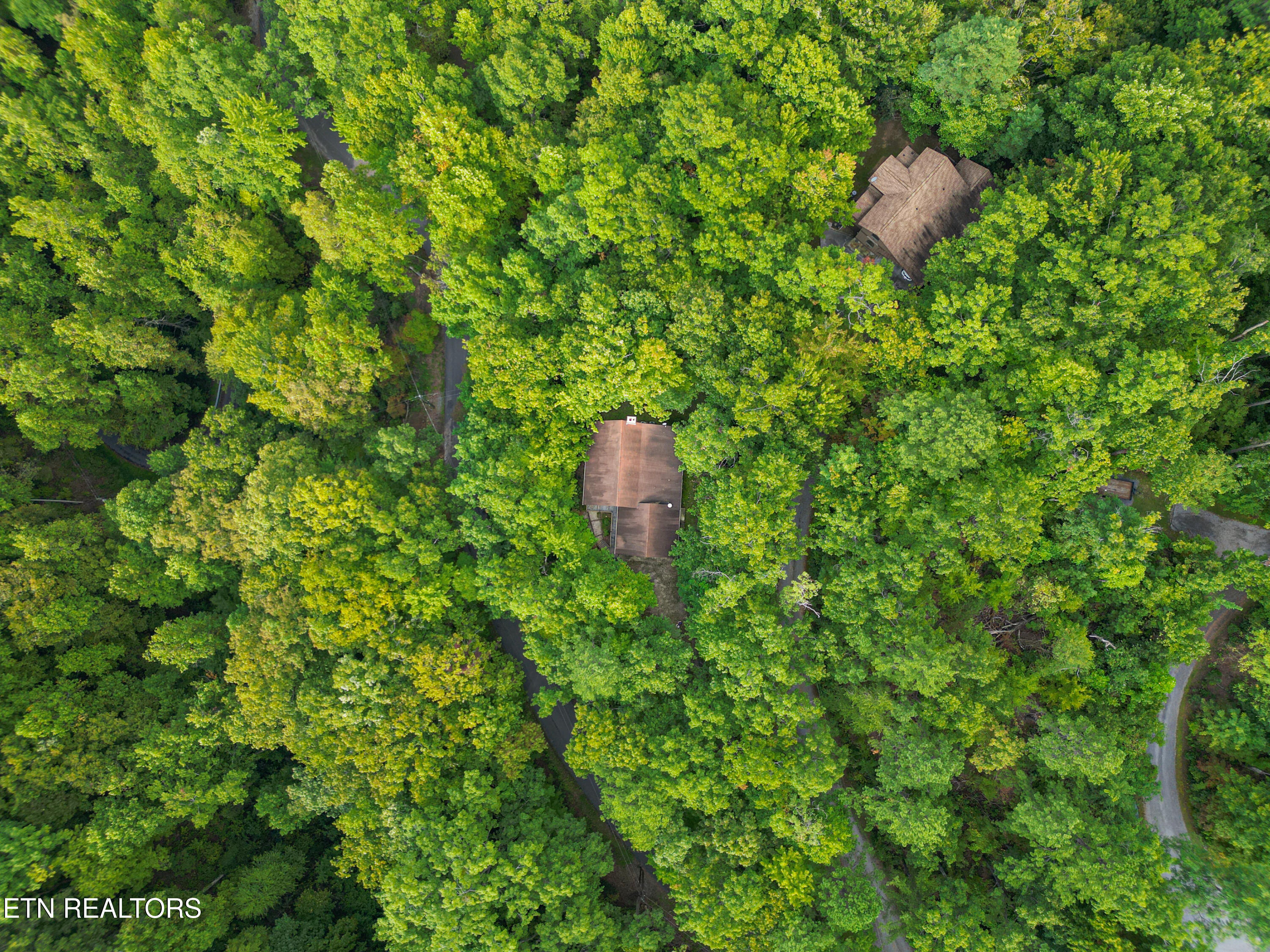 521 Jefferson Road Gatlinburg, TN 37738 - Photo 4 of 48 dji_fly_20250927_182926_127_175892886110