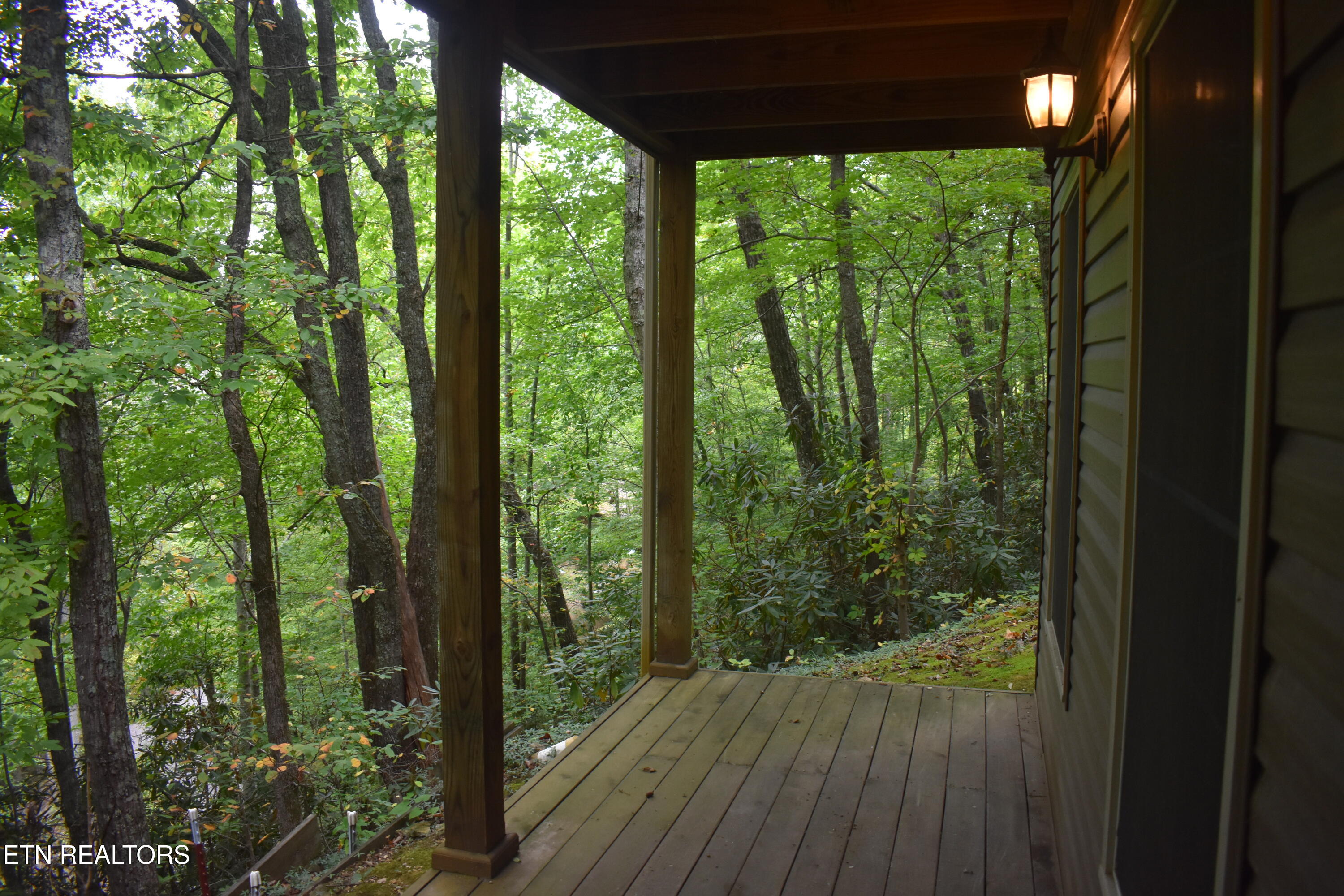 521 Jefferson Road Gatlinburg, TN 37738 - Photo 42 of 48 DSC_0122