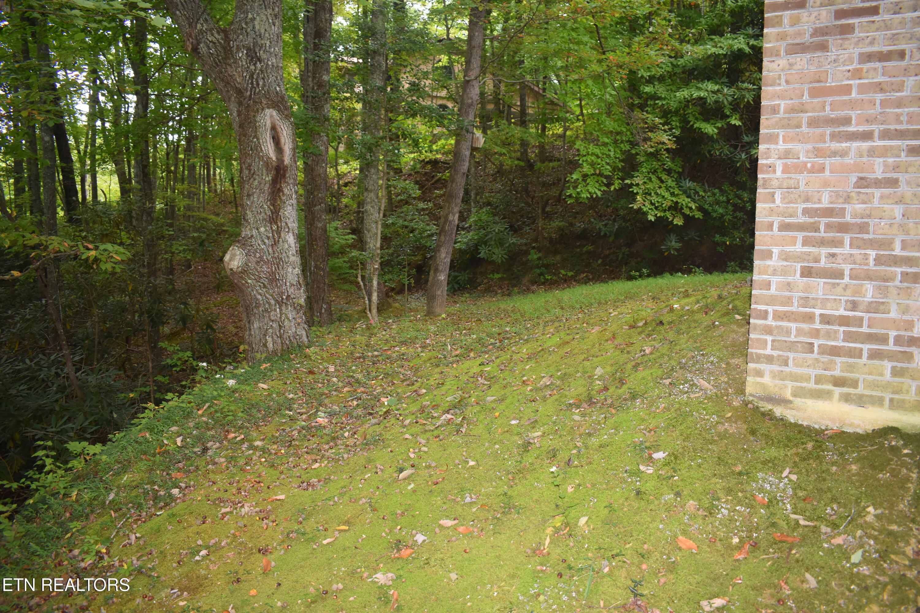 521 Jefferson Road Gatlinburg, TN 37738 - Photo 44 of 48 DSC_0125