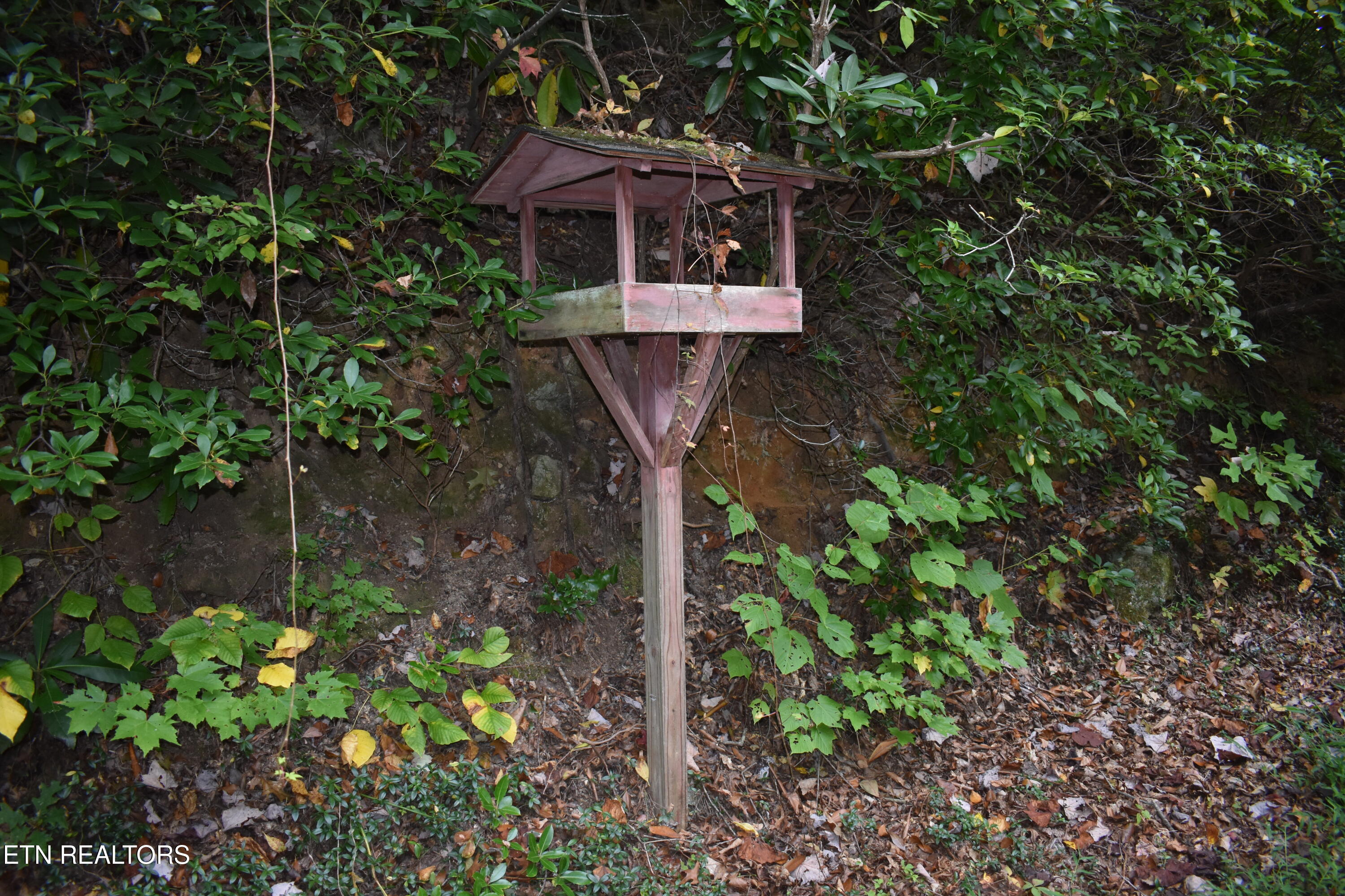 521 Jefferson Road Gatlinburg, TN 37738 - Photo 47 of 48 DSC_0132