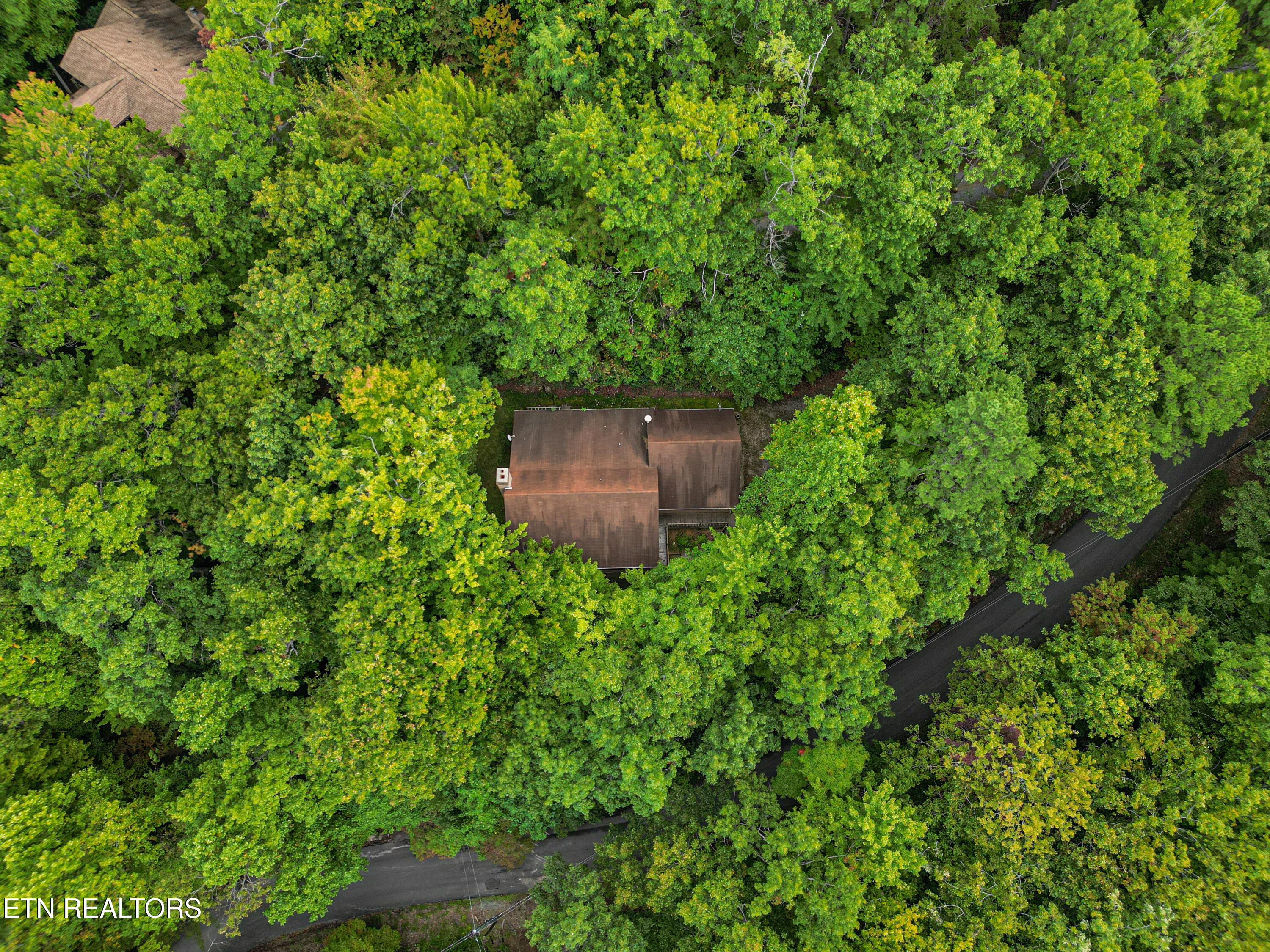 521 Jefferson Road Gatlinburg, TN 37738 - Photo 5 of 48 dji_fly_20250927_183950_135_175892883168